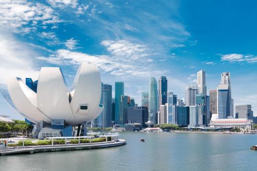 How is Singapore handling a new world order?