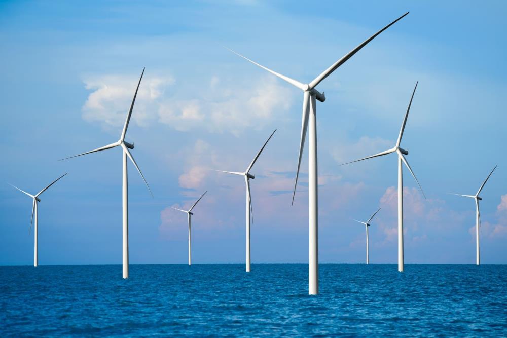 Seminar: Complex relationships on a troubled wind farm