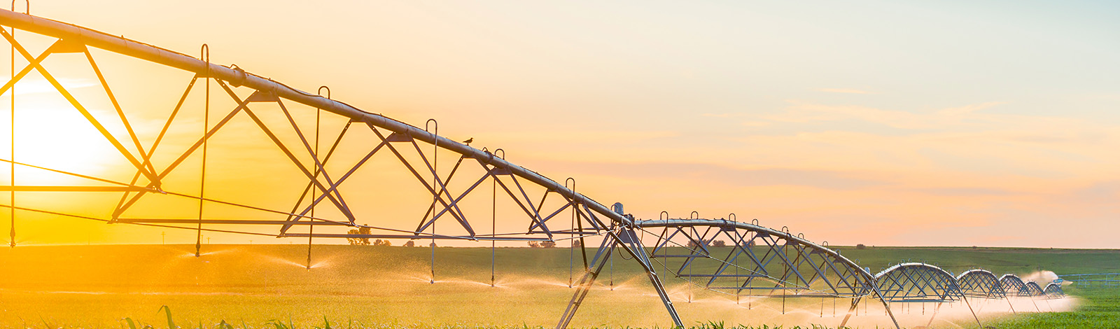 golden sky, and view of irrigation