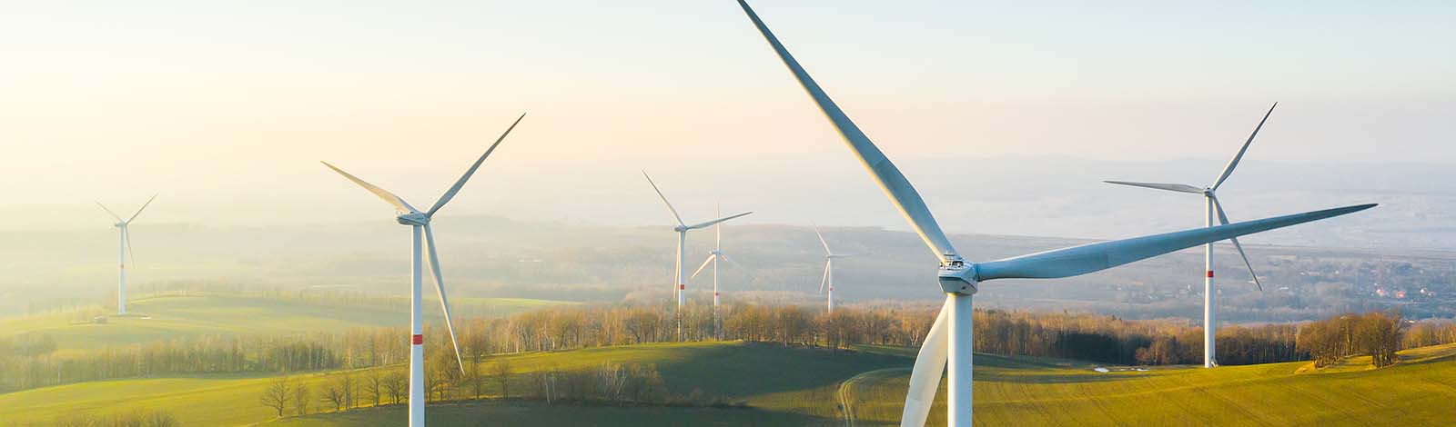 A view of wind turbines in the countryside